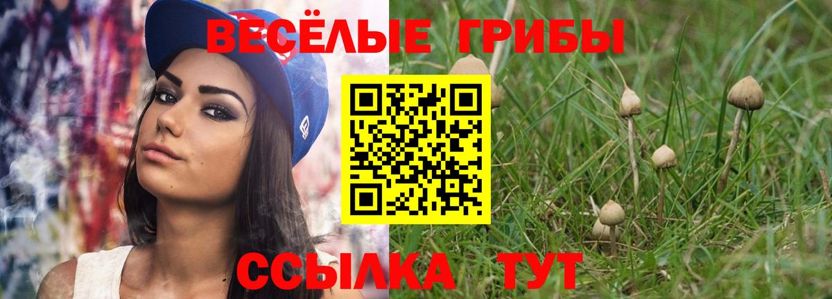 Заводоуковск  Галлюциногенные грибы Magic Shrooms  Вход с VPN 